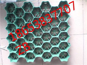 濟(jì)寧塑料植草格廠家推薦及產(chǎn)品圖片展示